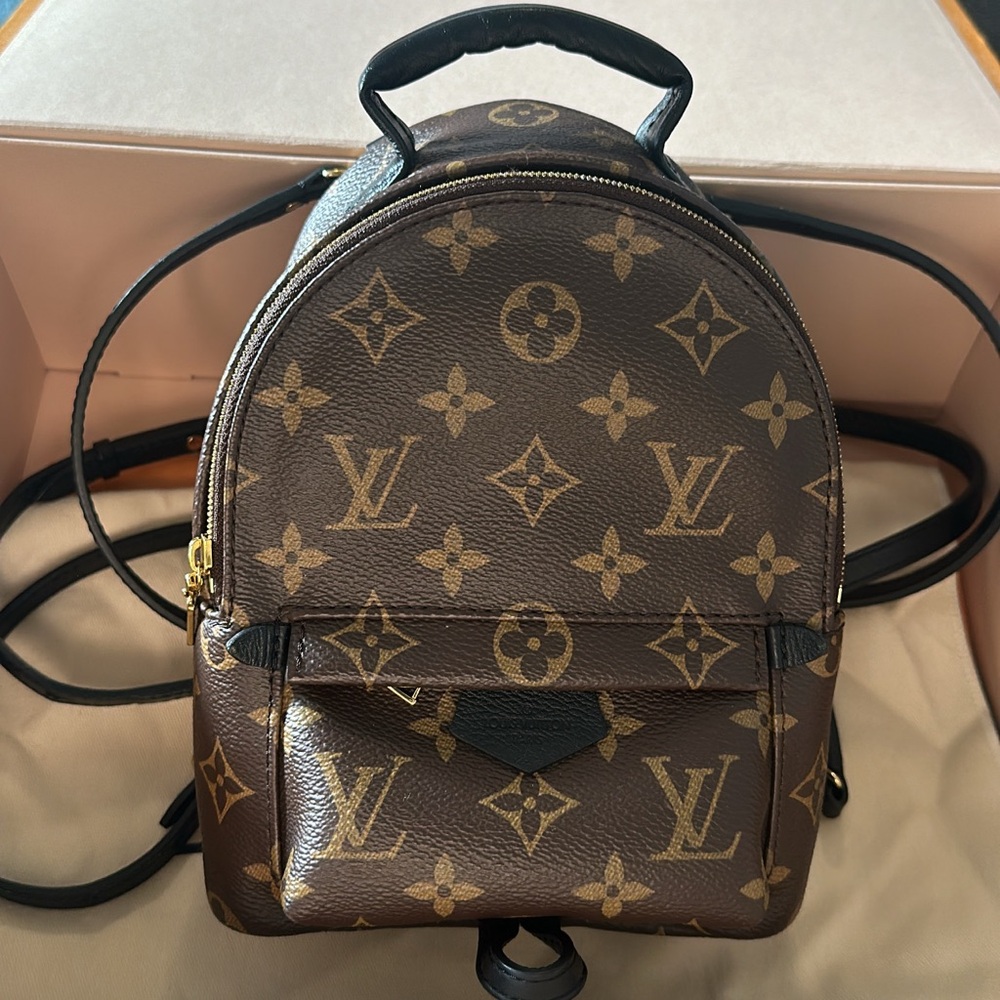 Louis Vuitton Palm Springs Mini Backpack